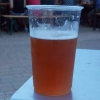 Festiwal Piwny Rzeszów