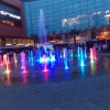 Festiwal Piwny Rzeszów