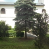 karmelici kosciol i klasztor