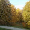 przemyska jesien