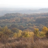 przemyska jesien