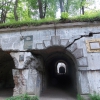 salis soglio, siedliska