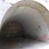 salis soglio, siedliska