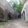 salis soglio, siedliska
