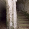 salis soglio, siedliska