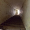 salis soglio, siedliska