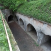 salis soglio, siedliska