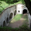 salis soglio, siedliska