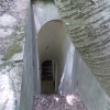 salis soglio, siedliska