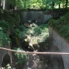 salis soglio, siedliska