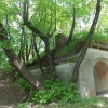 salis soglio, siedliska