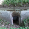salis soglio, siedliska