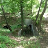 salis soglio, siedliska