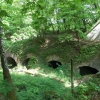 salis soglio, siedliska