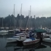 solina