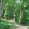 Park Miejski w Przemyślu