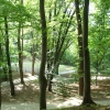 Park Miejski w Przemyślu