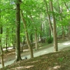 Park Miejski w Przemyślu