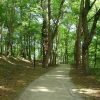 Park Miejski w Przemyślu