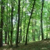 Park Miejski w Przemyślu