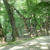 Park Miejski w Przemyślu