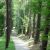 Park Miejski w Przemyślu