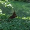 Park Miejski w Przemyślu