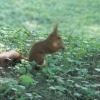 Park Miejski w Przemyślu