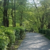 Park Miejski w Przemyślu