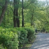Park Miejski w Przemyślu