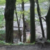 Park Miejski w Przemyślu